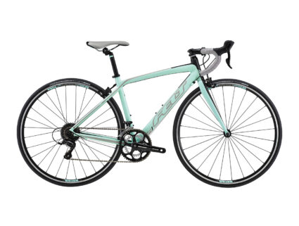 Modern Felt ZW95 Gear High Speed Bicycle